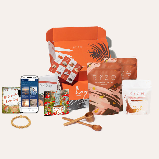 Mushroom Chicory Starter Kit (60 servings)