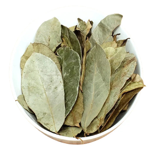 Soursop Leaves Dried - 8oz