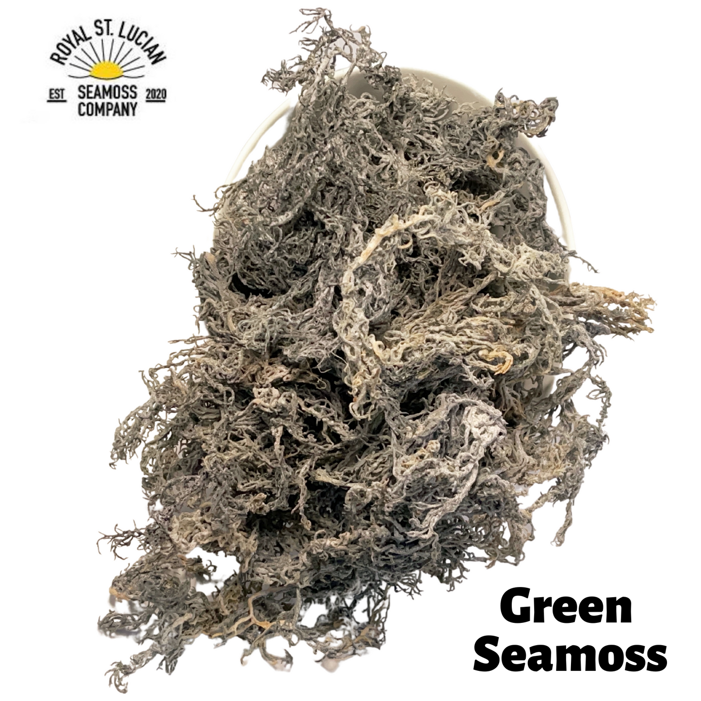 Green Seamoss - Wholesale - 25lbs