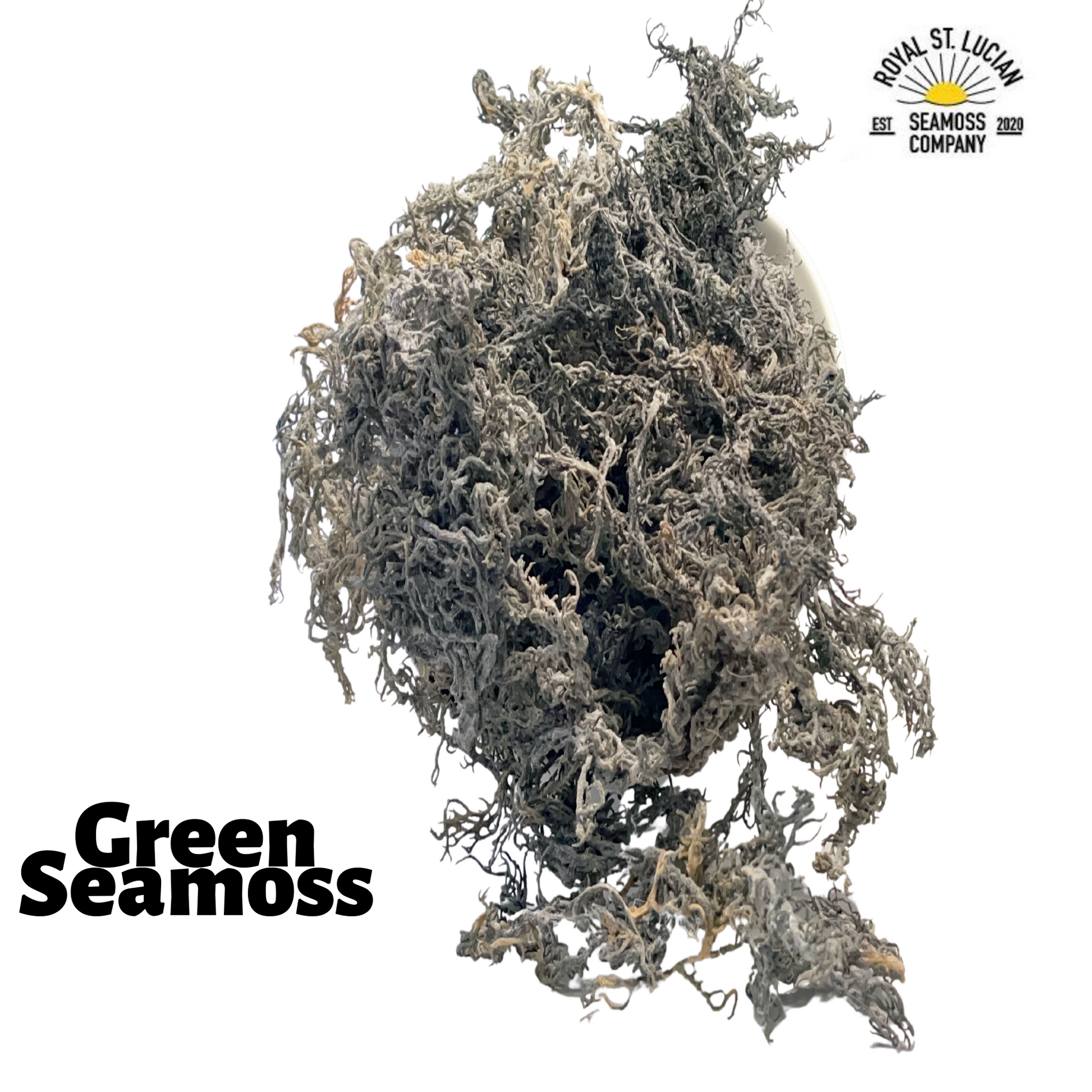 Green Seamoss - Wholesale - 15lbs