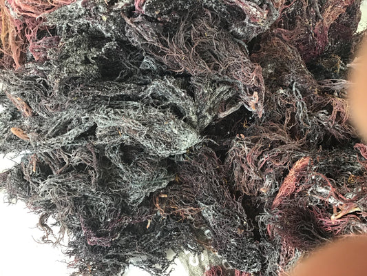 Purple Seamoss - Wholesale - 10lbs