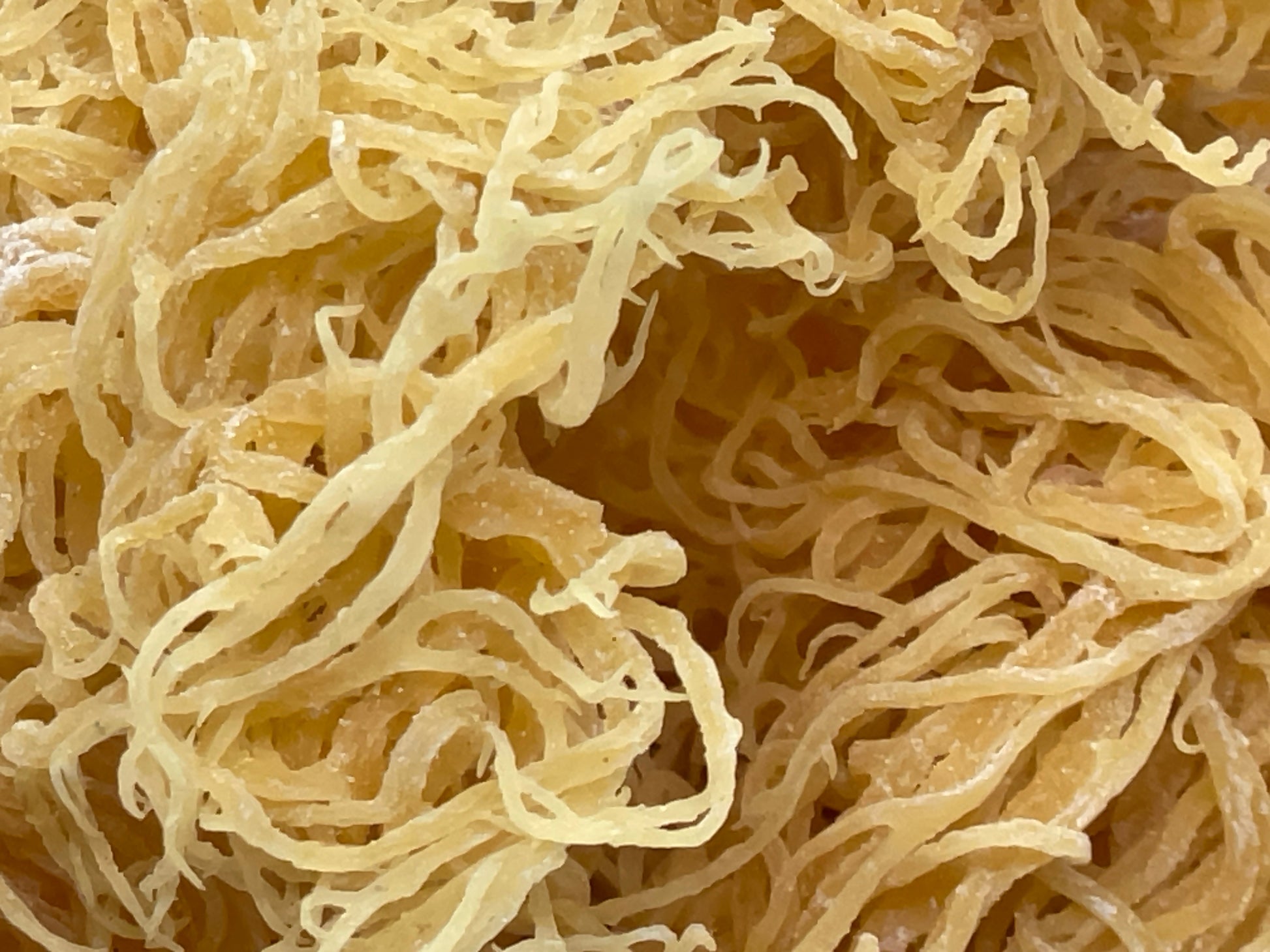 Gold Seamoss - Wholesale - 5lbs - Seamoss